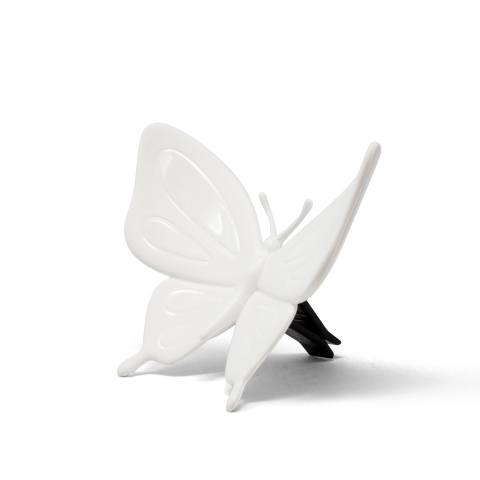 Butterfly White 916