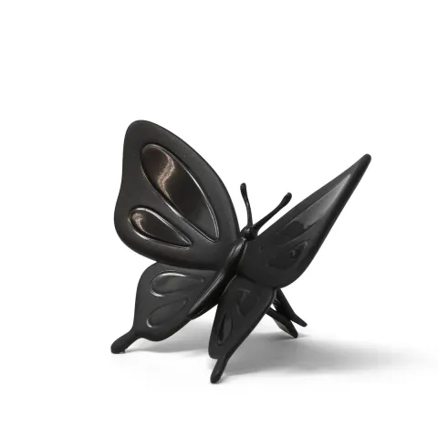Butterfly Black