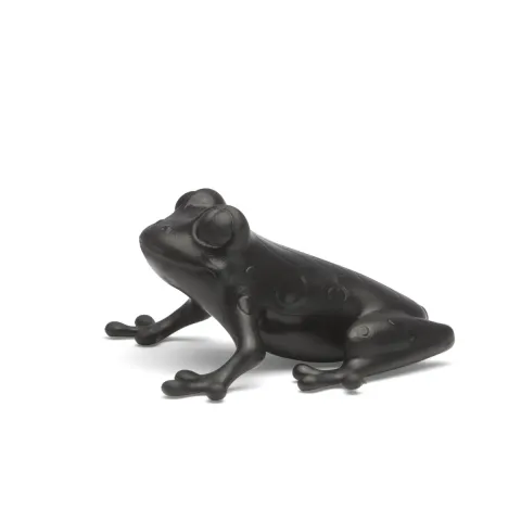 Frog Black