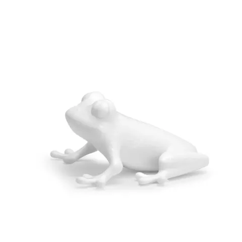 Frog White