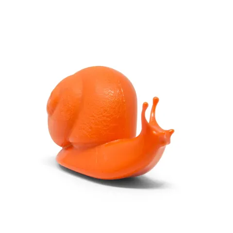 Snail Orange